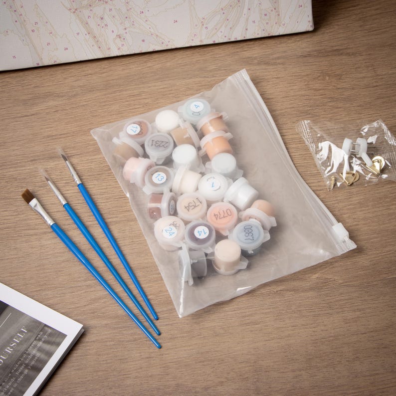 May include: Paint-by-numbers kit with small paint pots in a clear plastic bag, three paintbrushes with blue handles, and a small bag of hardware. The paint pots are numbered and contain various colors.