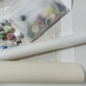 May include: A paint-by-numbers kit with various components. The kit includes small paint pots in assorted colors, paintbrushes, and a rolled-up canvas. A clear plastic bag contains additional paint pots. A sheet with numbers is also included.