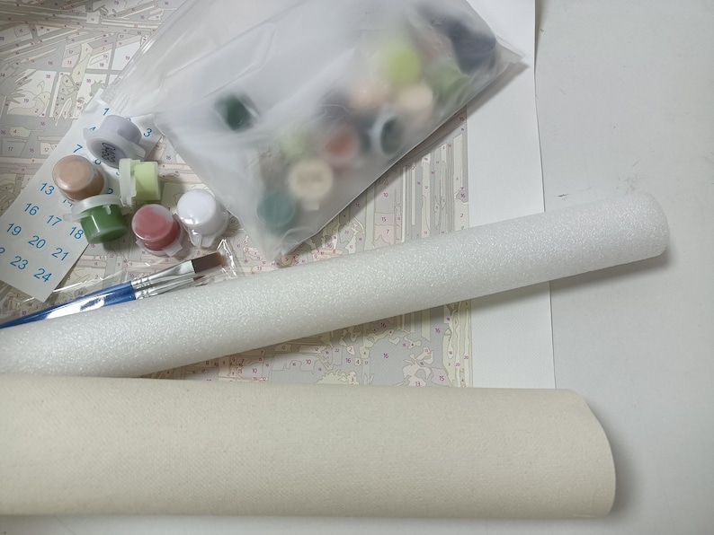 May include: A paint-by-numbers kit with various components. The kit includes small paint pots in assorted colors, paintbrushes, and a rolled-up canvas. A clear plastic bag contains additional paint pots. A sheet with numbers is also included.