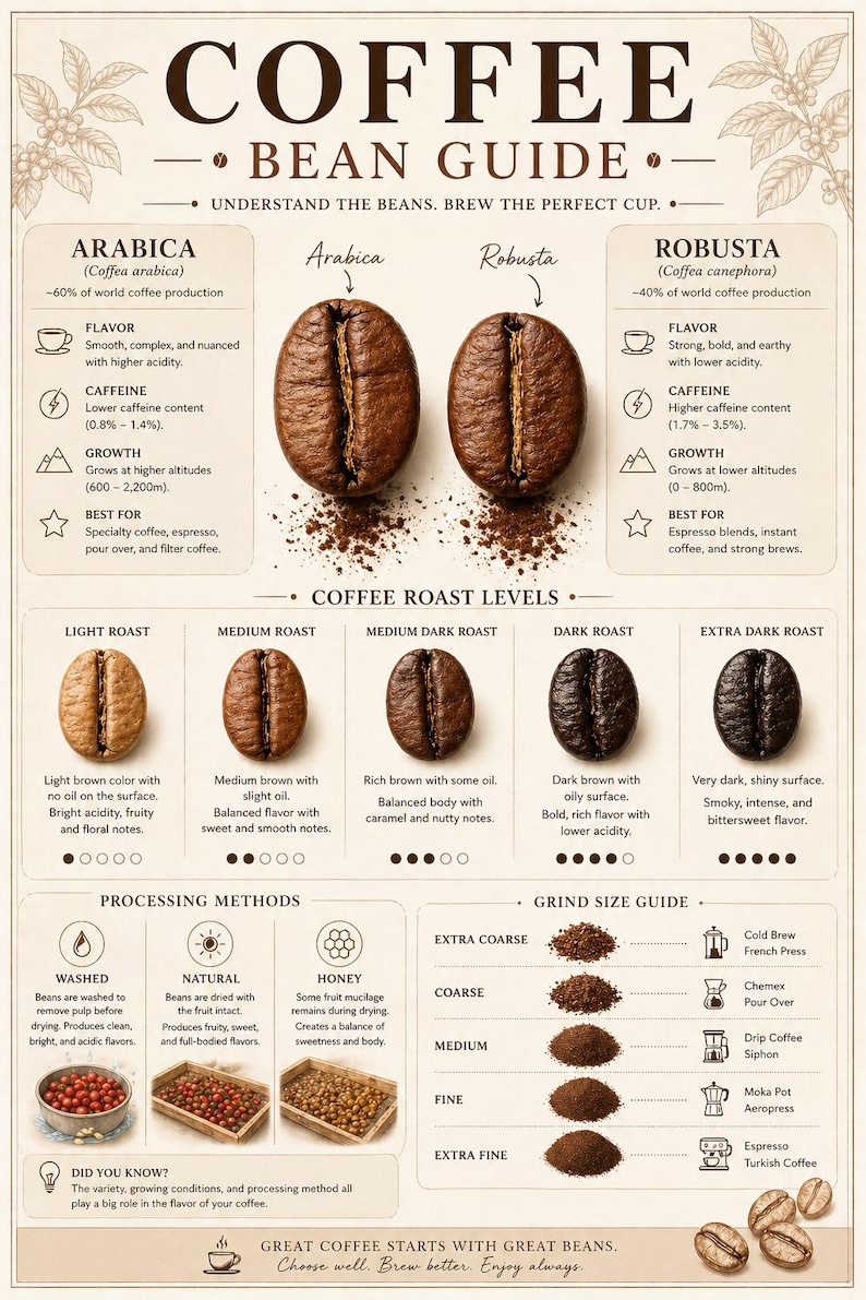 Coffee Bean Guide Poster, Infographic Kitchen Wall Art (digital ...