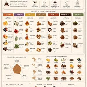 Könnte beinhalten: Kaffeegeschmacksnoten-Leitfaden mit einem Rad, das fruchtige, blumige, süße, nussige, würzige und schokoladige Aromen veranschaulicht. Enthält Beispiele wie Zitrusfrüchte, Blumen, Karamell, Mandeln, Zimt und dunkle Schokolade. Zeigt auch Röstung und Geschmacksintensität.