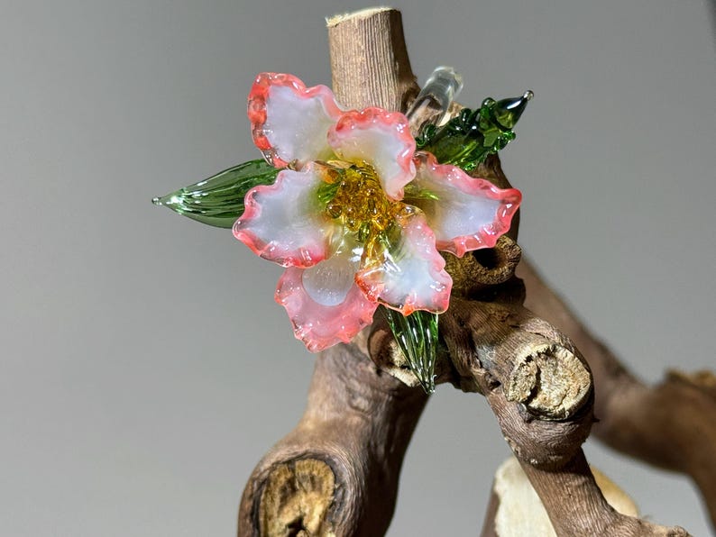 May include: A handcrafted glass flower with white petals edged in pink, a yellow centre, and green leaves. The flower is mounted on a piece of natural wood, creating a unique decorative piece.