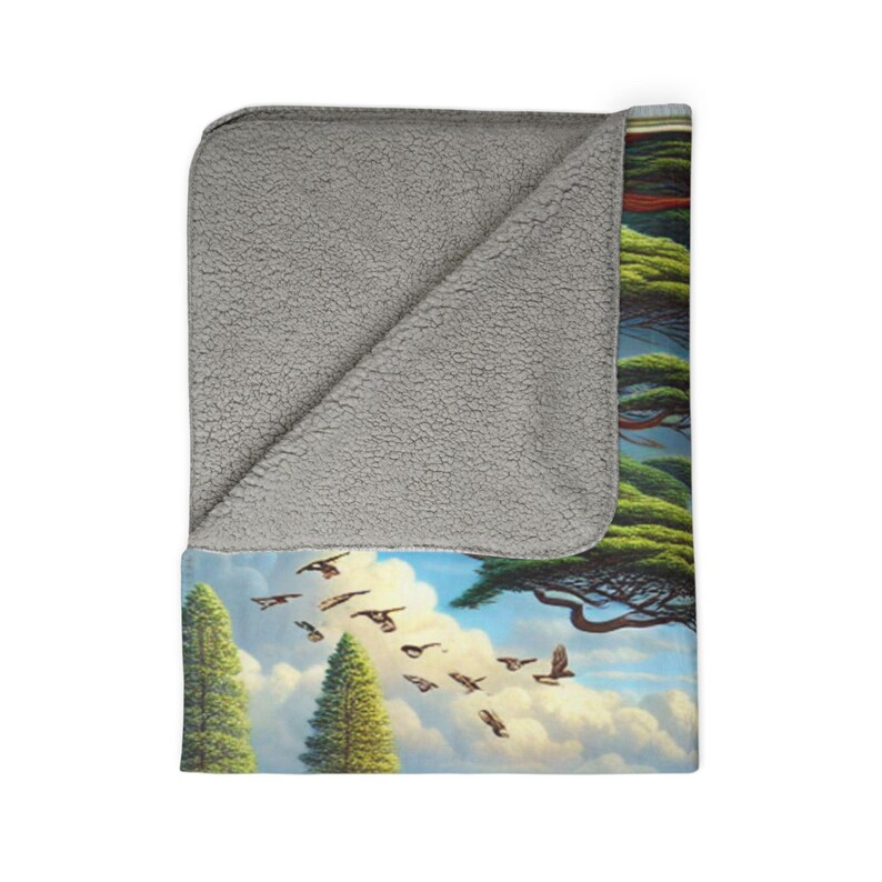 San Diego Fleece Sherpa Blanket, California Travel Gift image 10