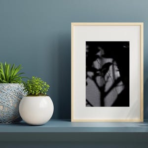 Shadowed Elegance – Fotografia astratta in bianco e nero di silhouette di piante - Arte murale minimalista - Download digitale - Decorazione d&#39;interni