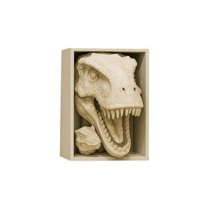 T-Rex Bookshelf Decor
