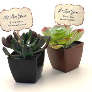 Plant Pick Succulent Tags for Bridal Shower, Wedding Favor Tags, Baby Shower Favors, Personalized Let Love Grow Labels - set of 10