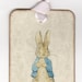 Peter Rabbit Baby Shower Bookmark Favors Personalized Baby Shower ...