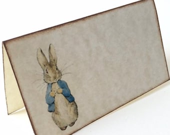 Peter Rabbit Baby Shower Place Cards Name Cards Buffet Cards Birthday Baptism Christening Party Seating Cards - Vintage Style Set of 10