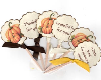 Double Sided Fall Autumn Thanksgiving Cupcake Topper Party Picks Pumpkin Cake Topper PicK With Printed Message - Set of 12
