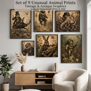 Conjunto de 9 láminas de animales inusuales, arte mural victoriano vintage y peculiar, pósteres antiguos de estilo academia oscura, descarga digital, decoración de habitaciones imprimible.
