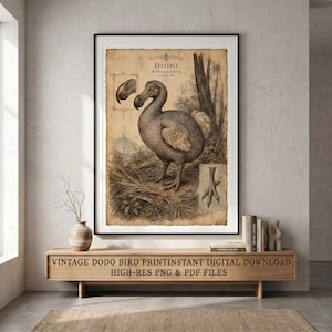 Lámina vintage de pájaro dodo, arte mural de estilo Dark Academia, póster de animal extinto, ilustración científica, descarga digital, decoración antigua para el hogar.