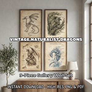 May include: A nine-piece gallery wall set featuring vintage naturalist dragon illustrations. The artwork includes detailed drawings of dragons in various poses, with a skeletal dragon and a blue dragon. The text reads "VINTAGE NATURALIST DRAGONS" and "9-Piece Gallery Wall Set."