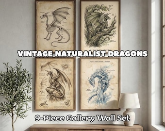 9 Vintage Dragon Prints Dark Academia Wall Art Antique Naturalist Sketch Fantasy Decor Mythical Creature Drawing Biology Illustration