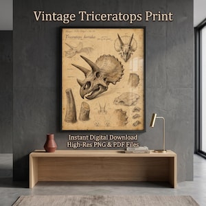 Vintage Triceratops Dinosaur Anatomy Print Paleontology Art Digital Download Skull Skeleton Poster Field Guide Sketch Boys Room Wall Decor