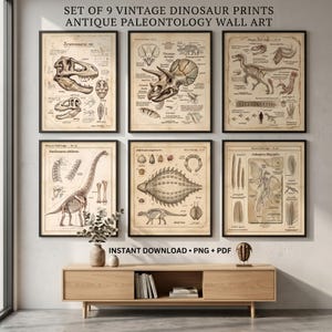 Może przedstawiać: Zestaw sześciu oprawionych grafik ściennych przedstawiających szkielety i skamieliny dinozaurów w stylu vintage na postarzanym papierze. Wydruki prezentują naukowe ilustracje różnych gatunków z opisowym tekstem, rozmieszczone w dwóch rzędach nad drewnianą konsolą.