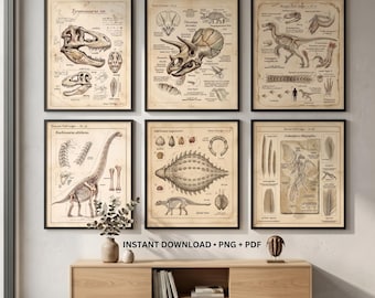 Nine Vintage Inspired Dinosaur Paleontology Prints Antique Scientific Illustrations Natural History Downloadable Collection PNG PDF