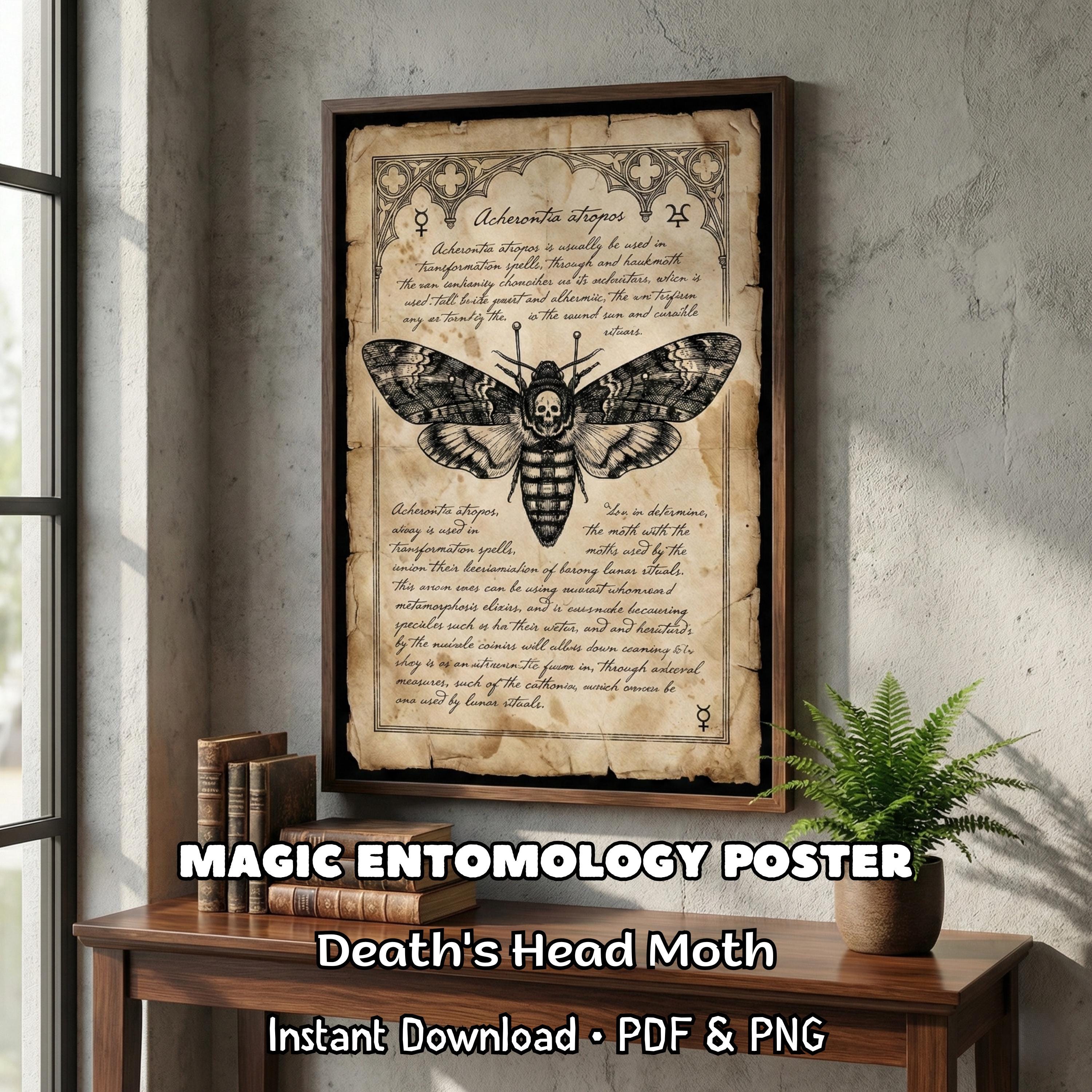 Dark Academia Wall Art Death Head Moth Print Witchy Decor Vintage ...