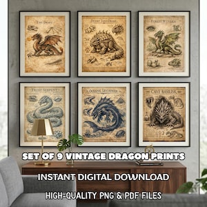 May include: A set of nine framed vintage dragon prints. Each print displays a different dragon illustration with text labels on a parchment-style background. The text includes "Fire Drake", "Desert Sand-Drake", "Forest Wyvern", "Frost Serpent", "Oceanic Leviathan", and "Cave Basilisk".
