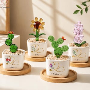May include: Four white square ceramic planters on wooden coasters, each containing a glass plant sculpture and filled with small pebbles. The planters feature gold-coloured stethoscope designs with floral accents and personalised names.