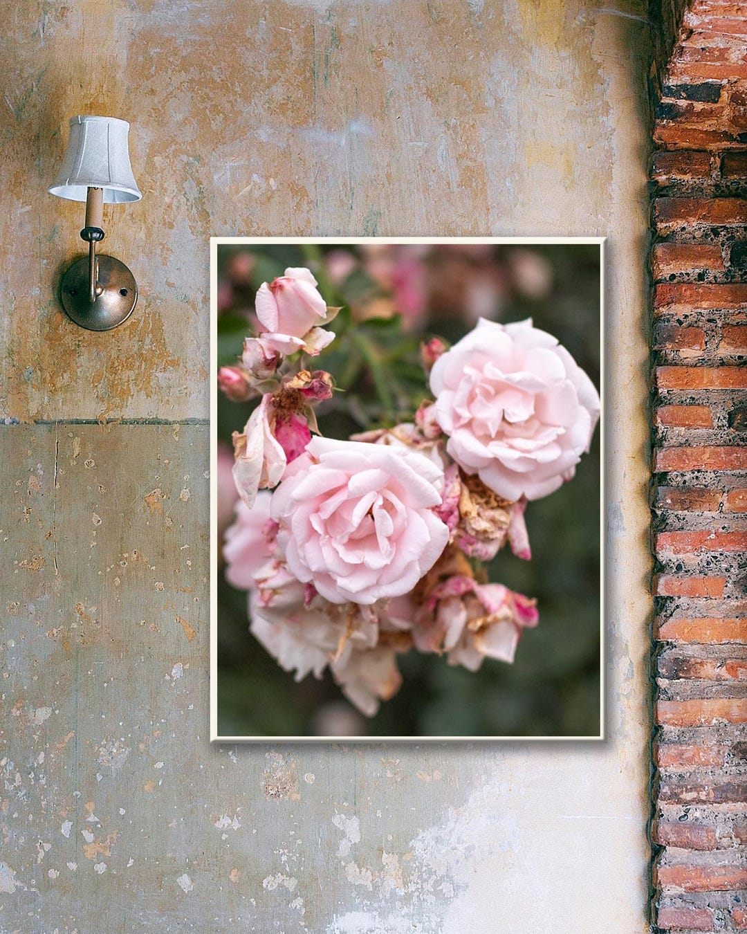 Romantic Rose Photography Print Download | Italian Garden Wall Art ...