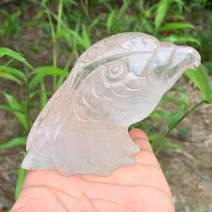 Natural Clear Quartz Eagle Skull: Hand Carved Crystal Carving