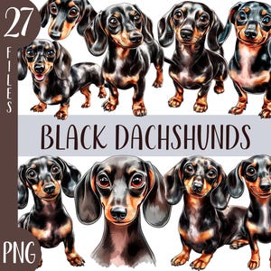 Imágenes prediseñadas de perro salchicha negro en acuarela - lindo perro salchicha negro PNG - ilustración de perro de cuerpo largo y patas cortas - gráfico de retrato de mini perro salchicha