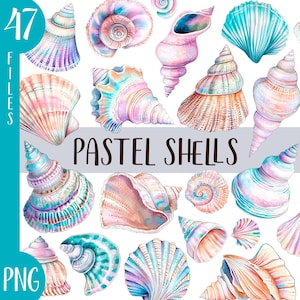 Clipart de concha marina pastel de acuarela - decoración oceánica PNG - ilustración estética del mar - tesoro de playa, caracola, vieira, nautilus, concha de molusco
