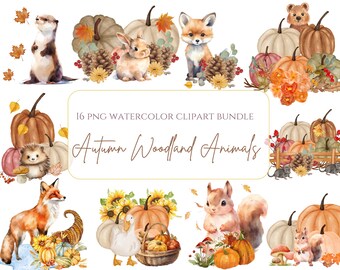 Lindo paquete de imágenes prediseñadas de animales de otoño en acuarela, criaturas del bosque otoñal PNG, imágenes prediseñadas de bosque bohemio, arte acogedor cottagecore para baby shower y guardería