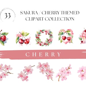 Cerise PNG cerise Clipart aquarelle fleur de cerisier peint à la main fleur de sakura cerise oeuvre fruit d'été PNG cerise tshirt sublimation