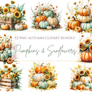 Pumpkin Clipart Pumpkins and Sunflowers Watercolor Autumn Clipart Autumn Bouquets Fall Pumpkin Clipart Bundle Pumpkin PNG Sunflowers png