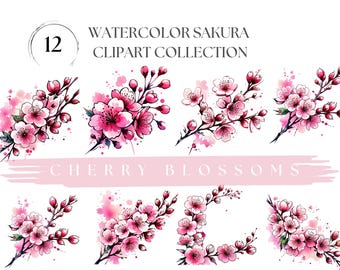 Cherry Blossoms Clipart Sakura Blossom png Watercolor Pink Sakura Spring Wedding Invitation Watercolor Pink Flowers Sakura Flowers png