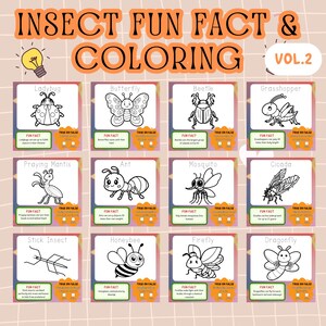 Kleurplaten insecten: leuke weetjes en waar/niet waar - Vol. 2 (afdrukbare pdf)