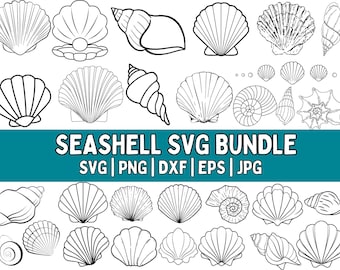 Seashell SVG Bundle, Seashell PNG Bundle, Seashell Clipart, Seashell SVG Cut Files for Cricut, Seashell Silhouette, Sea world svg, Shell svg