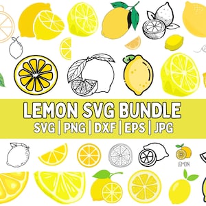 Lemon SVG Bundle: Cricut-Ready Fruit Slice Designs (Digital Download