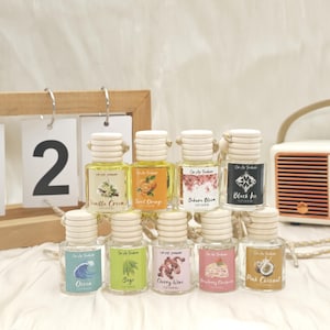 Car Air Diffuser Hanging Car Aromatherapy Scented Car Air Freshener Gift Accessory Hanging Diffuser Scent For Car Decor Car Fragrance Gift