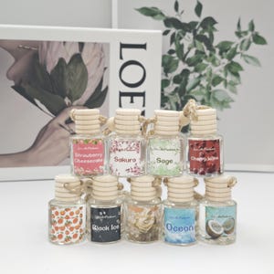 Car Air Diffuser Hanging Car Aromatherapy Scented Car Air Freshener Gift Accessory Hanging Diffuser Scent For Car Decor Car Fragrance Gift