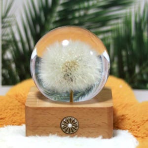 Real Dandelion Resin Night Light, Handmade Wood Base