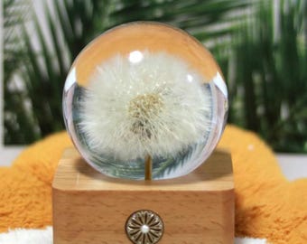 Real Dandelion Resin Night Light, Handmade Wood Base