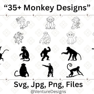 May include: A selection of 35+ monkey designs in different poses, such as sitting, swinging, and eating. The image includes the text "35+ Monkey Designs" and file type information: Svg, Jpg, Png, Files.