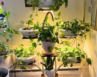 6 Tier Wood & Metal Tree Shaped Plant Stand | Indoor Plant Stand | Plant Shelf | Corner Plant Stand | Plant Holder | Plant Lover Gift