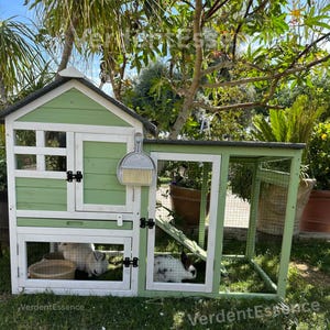 May include: A green and white wooden rabbit hutch with a pitched roof, a small door, and a wire mesh enclosure. The hutch has a small window and a cleaning brush. Two rabbits are inside the hutch.