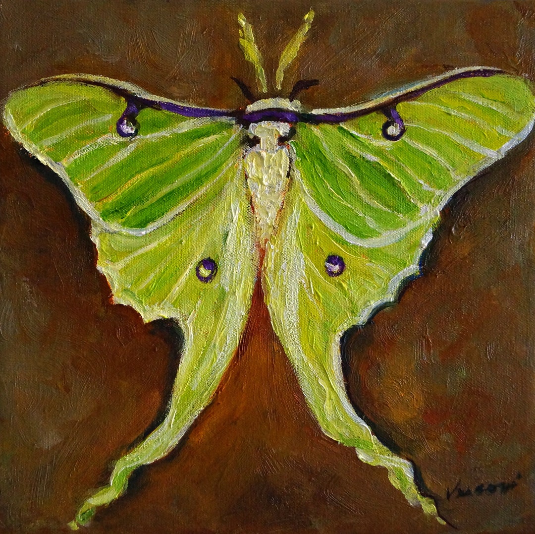 Luna Moth Painting, Green Moth Art, Oil and Cold Wax on Canvas - Etsy
