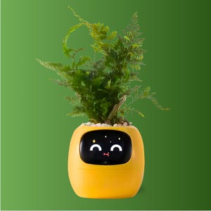 May include: A yellow ceramic planter with a cartoon face and a green fern plant growing inside. The planter has a black screen with a smiley face and two stars.