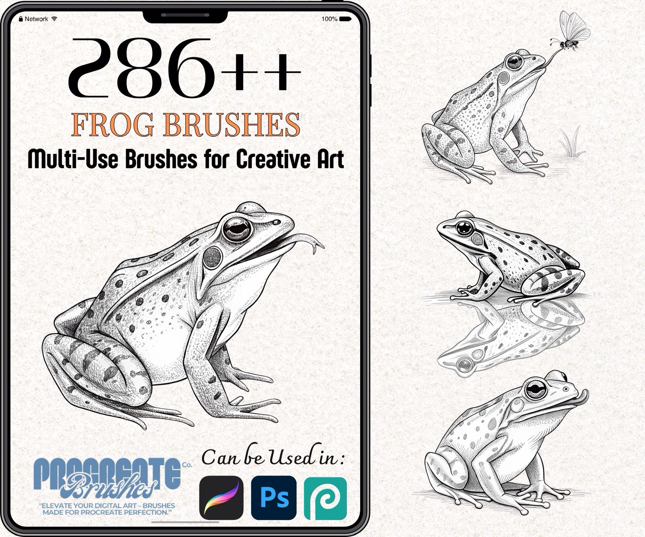 286+ Frog Brushes for Procreate & Photoshop – Amphibian Stamp, Line Art ...