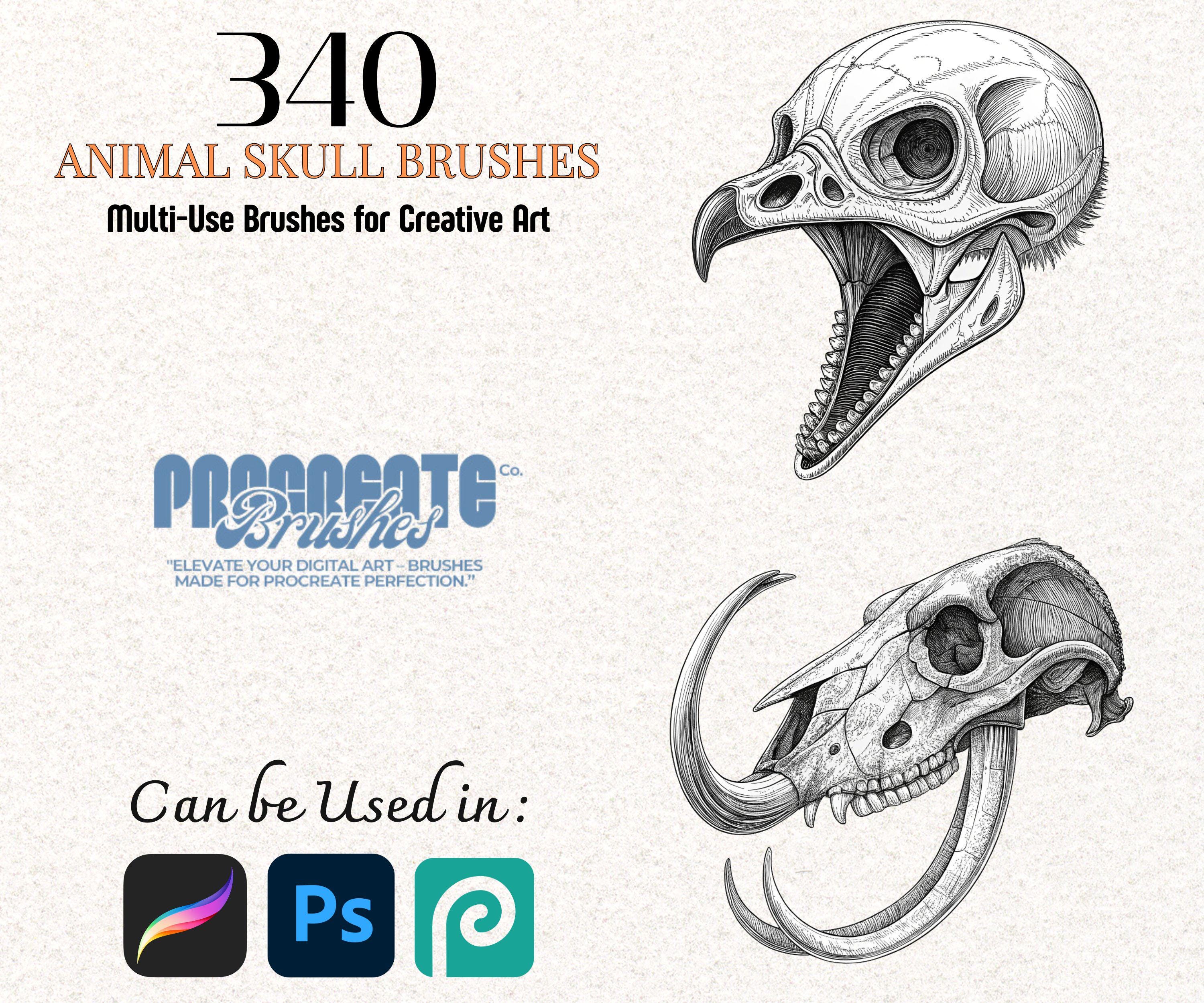 Brush Rabbit Skull 340 Animal Skull Brushes for Procreate & Photoshop – Line Art Stamp Set ...