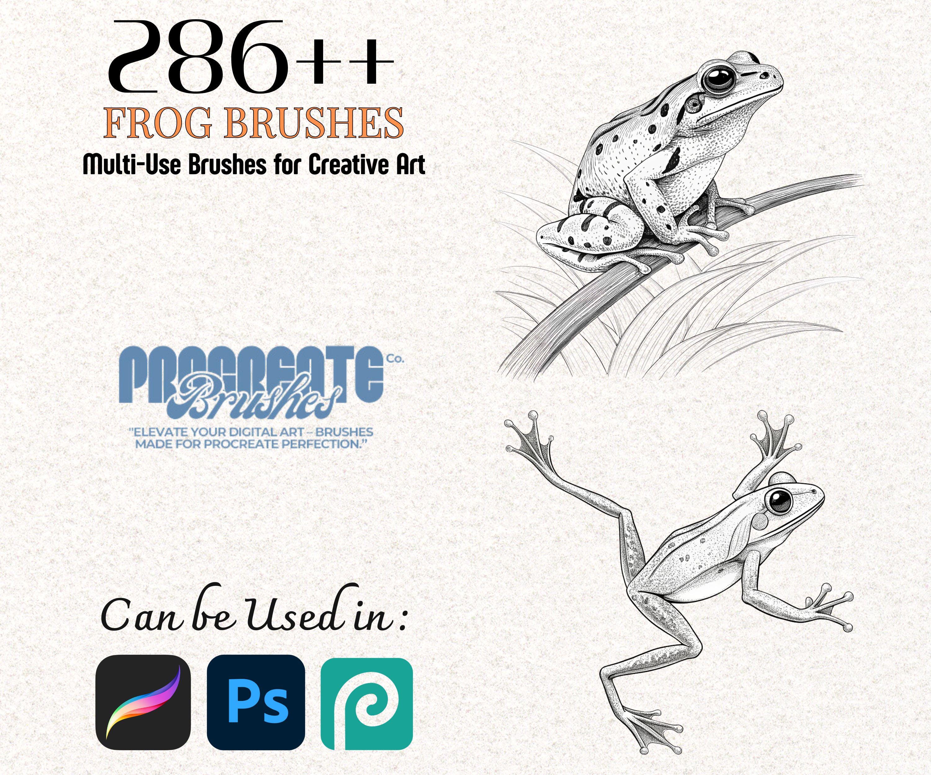 286+ Frog Brushes for Procreate & Photoshop – Amphibian Stamp, Line Art ...