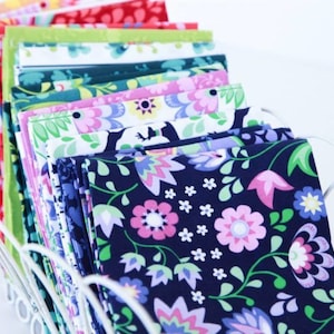 Riley Blake  Lucy&#39;s Garden Charm Pack