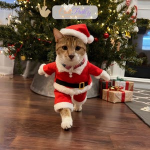 Strój Świętego Kota: Pluszowy strój świąteczny dla małych psów