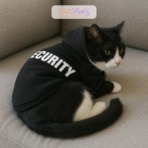 Op de afbeelding: Een zwart-witte kat draagt een zwarte hoodie met het woord "SECURITY" in het wit. De kat ligt op een grijze bank. De hoodie heeft een capuchon en bedekt de rug van de kat.