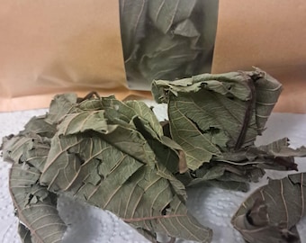 Hojas de guayaba orgánicas